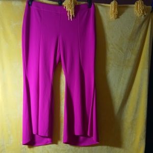 Flare Leg Pants